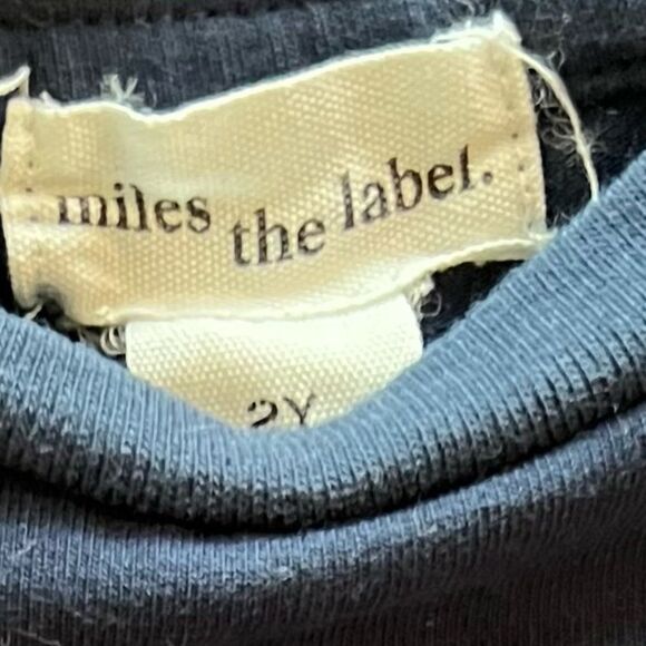 Miles the Label Miles, 2T Little Boy's All Dressed Twofer Long-Sleeve T-Shirt - Picture 3 of 3